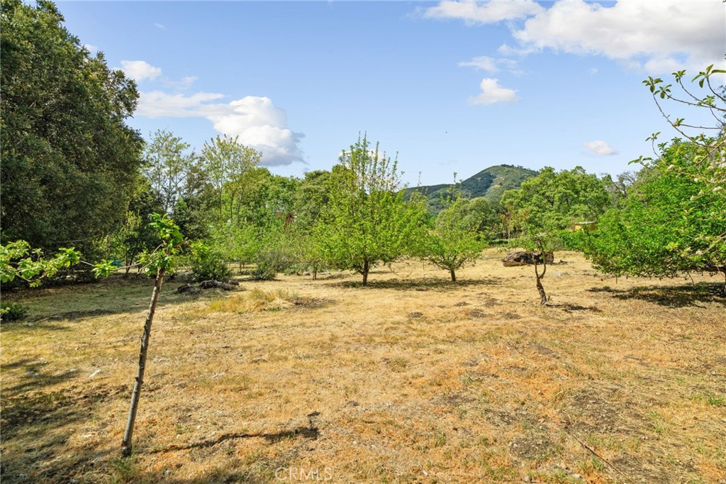 39804 Pine Bench Property Photo 43