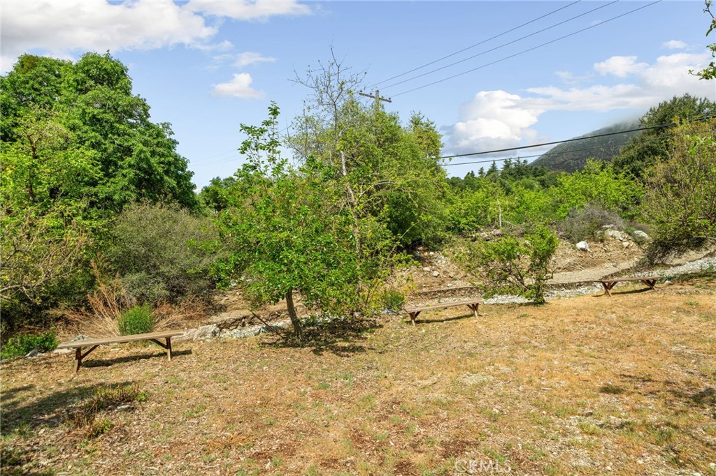 39804 Pine Bench Property Photo 45