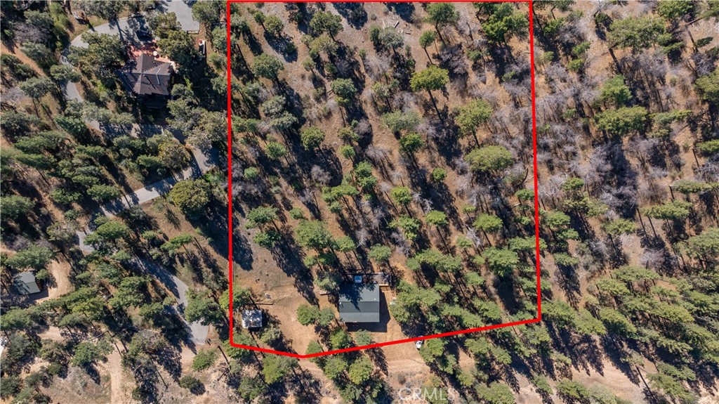 384 Saw Mill Canyon Property Photo 5