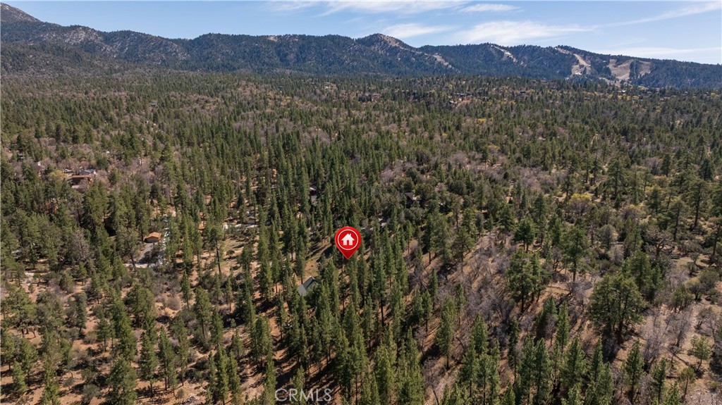 384 Saw Mill Canyon Property Photo 38