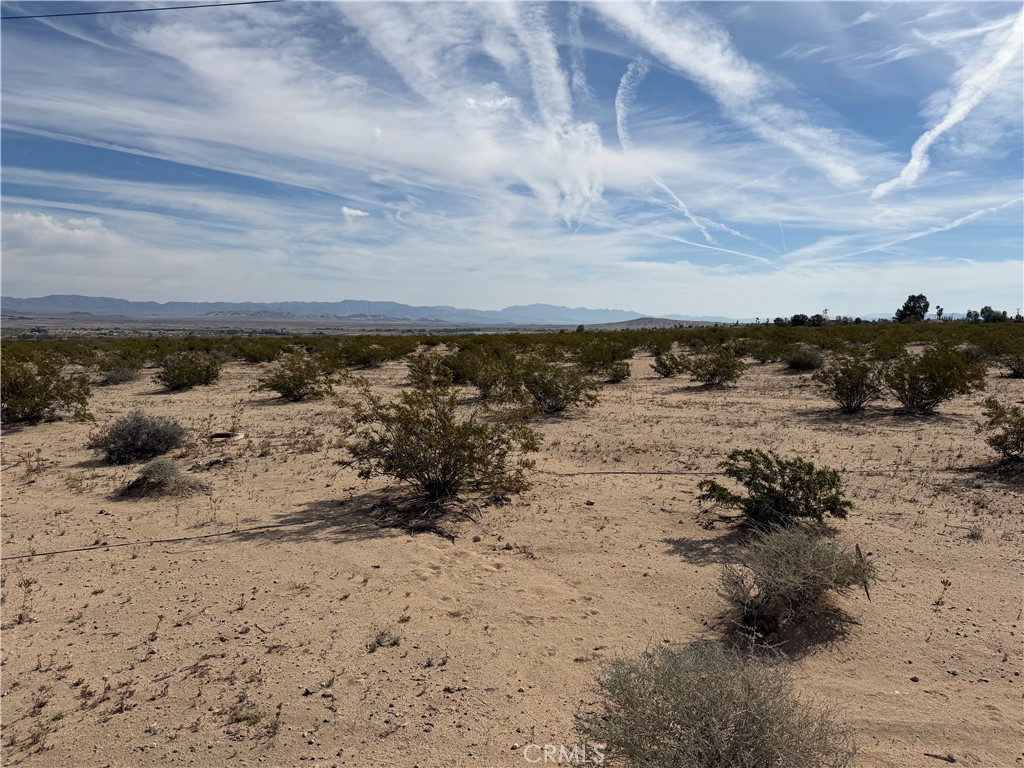 0 Morongo Road Property Photo 1