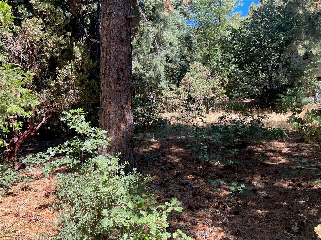 6020 Lake Property Photo 23