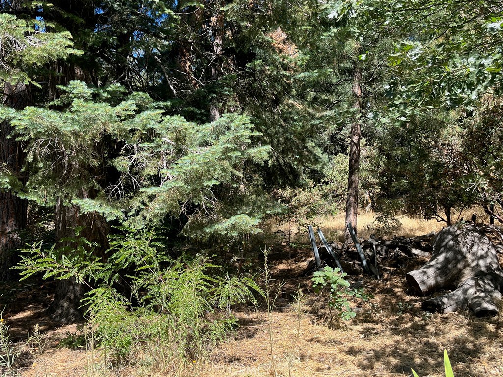 6020 Lake Property Photo 24