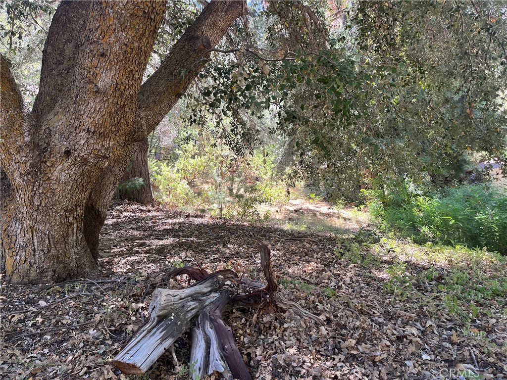 6020 Lake Property Photo 25