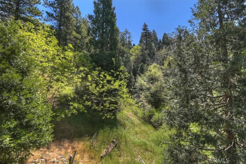 23228 Brookside Property Photo 28