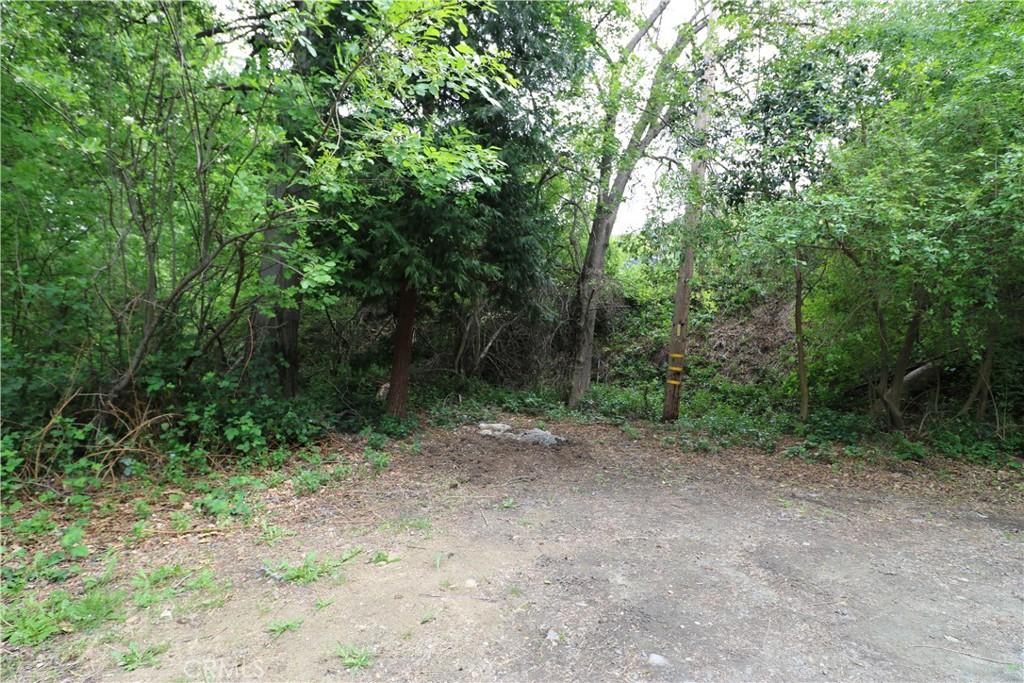 13992 Irving Lane Property Photo 25