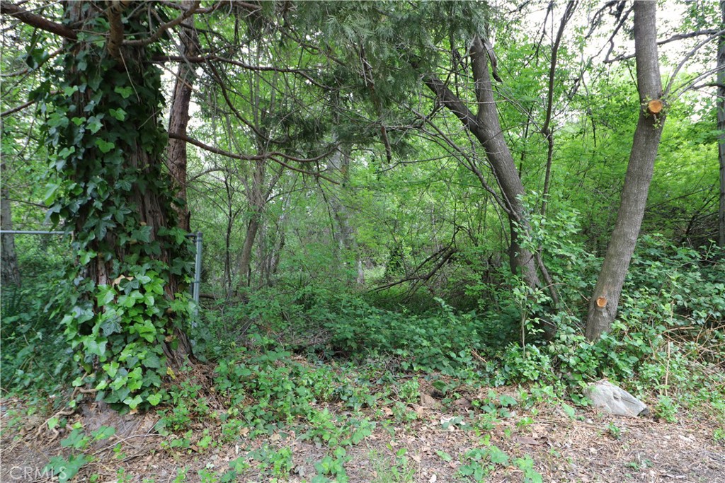 13992 Irving Lane Property Photo 26