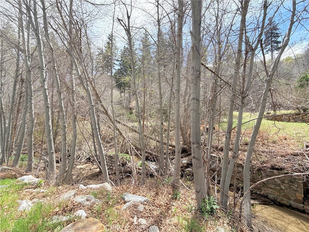 29949 Hook Creek Property Photo 1
