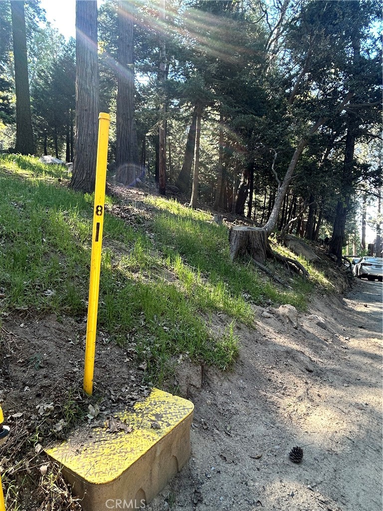 0 Forest Vw, Arrowhead Property Photo 1