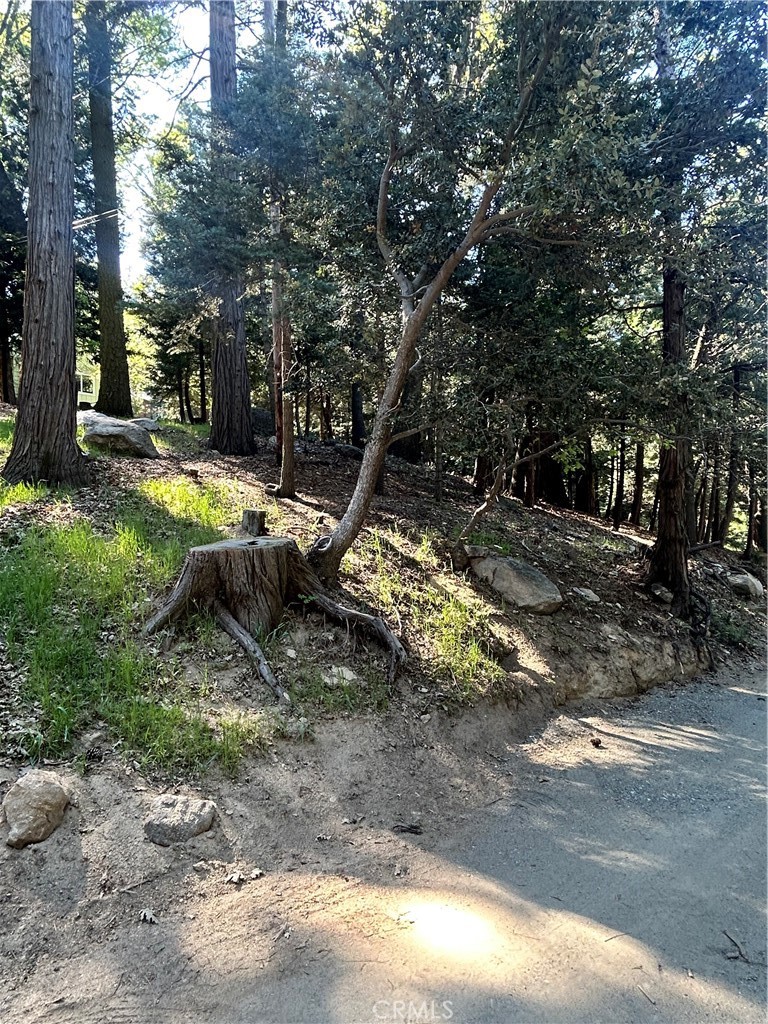 0 Forest Vw, Arrowhead Property Photo 3