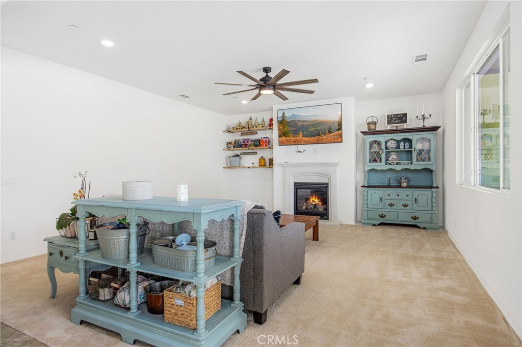 26130 Plumcot Drive Property Photo 18