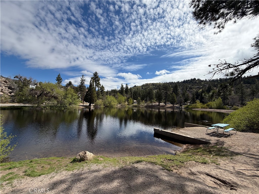33363 Forrest Property Photo 2