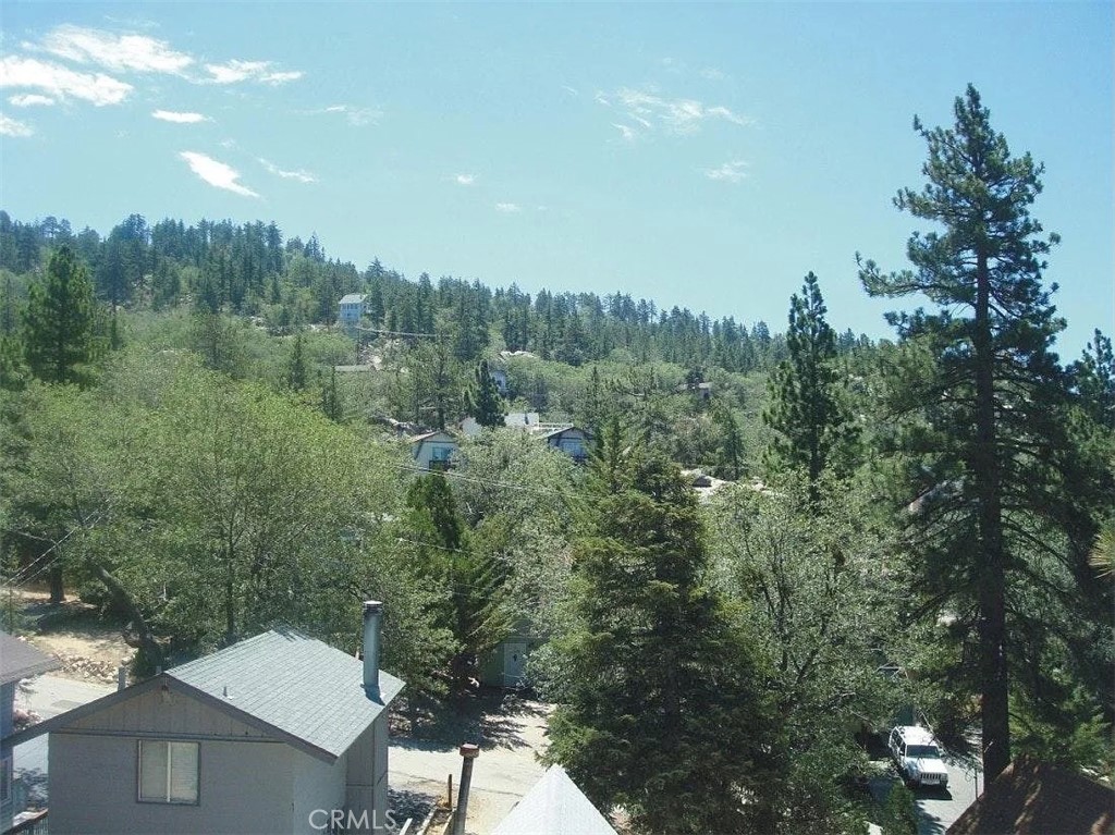 33363 Forrest Property Photo 5