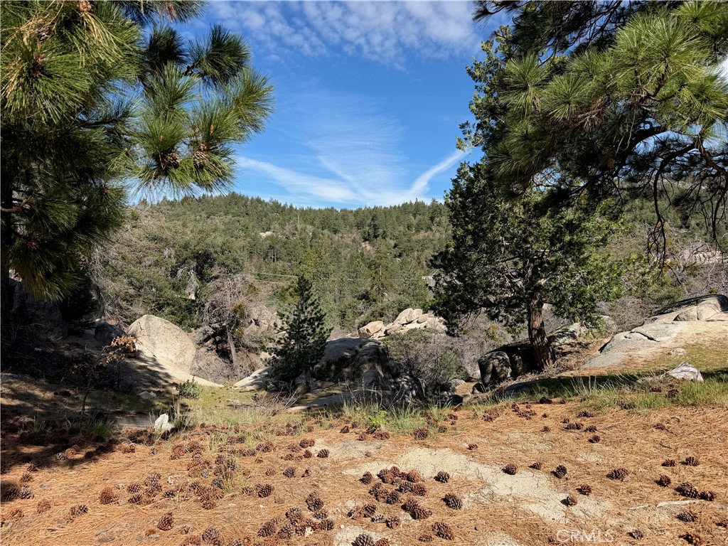 33363 Forrest Property Photo 14