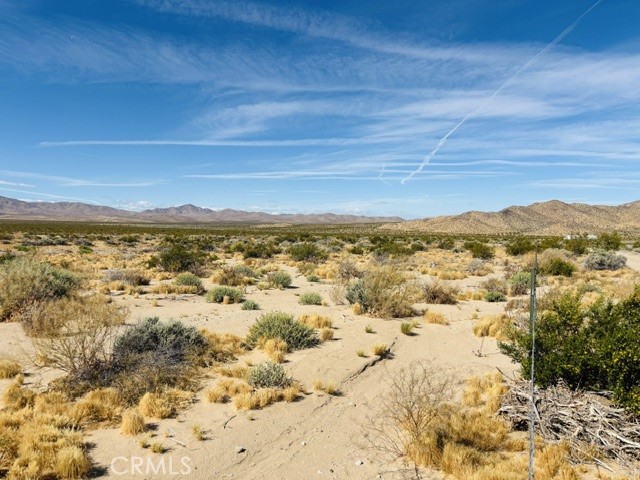 0 041734203 Property Photo 2