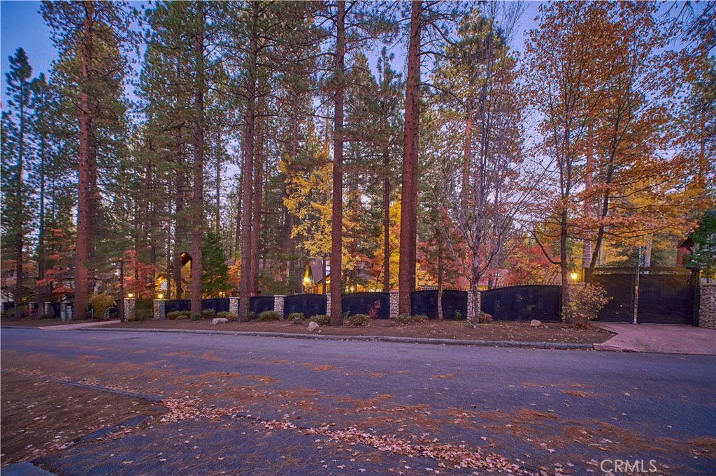 739 N Star Property Photo 2