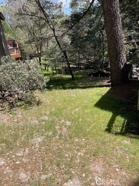 0 Cedarbrook Drive Property Photo 3