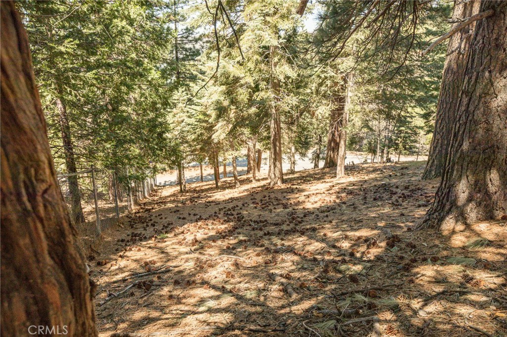 30908 Glen Oak Property Photo 2