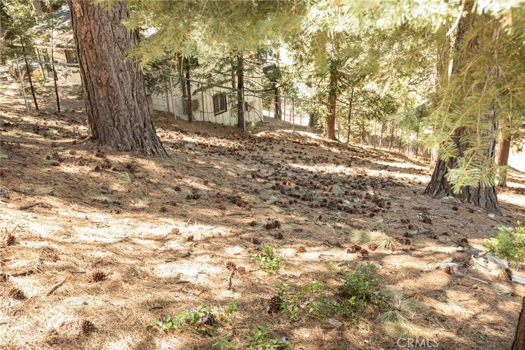 30908 Glen Oak Property Photo 5