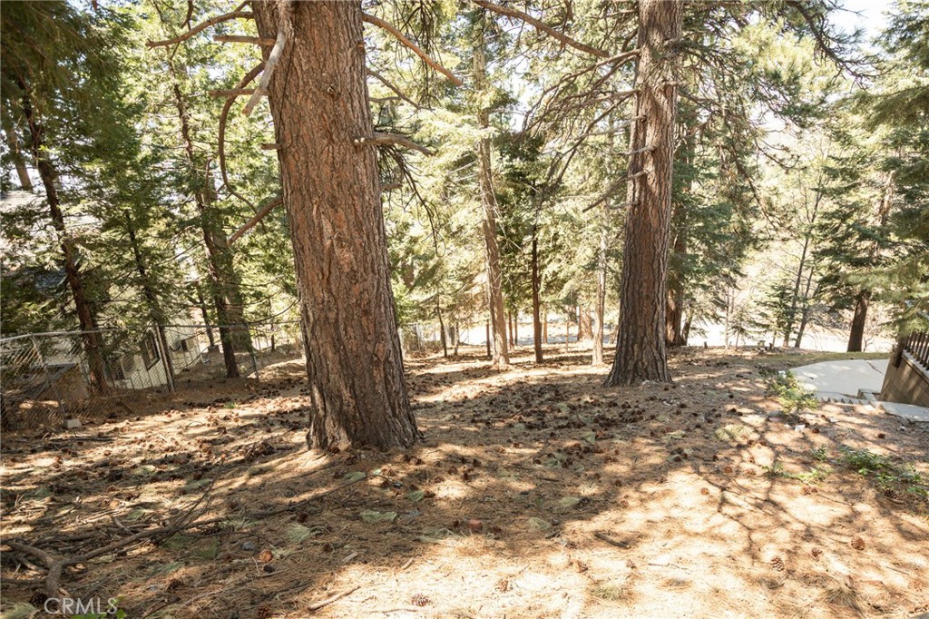 30908 Glen Oak Property Photo 6
