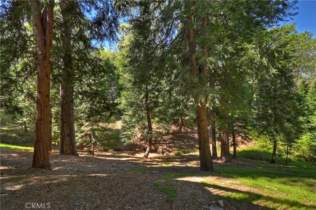 355 Cedar Ridge Drive Property Photo 41
