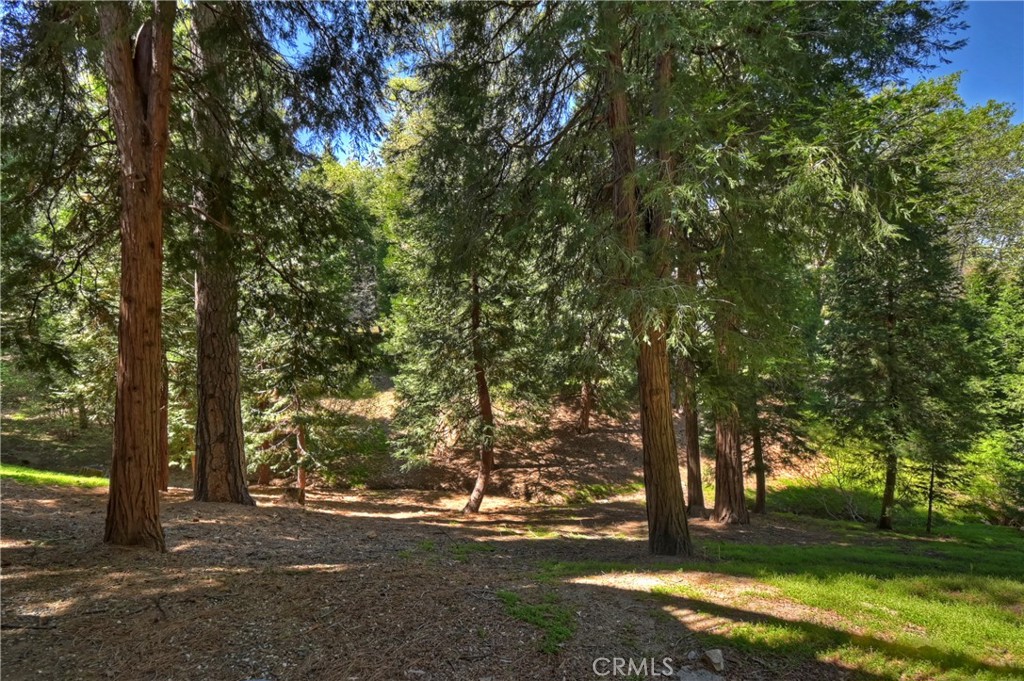 355 Cedar Ridge Drive Property Photo 41