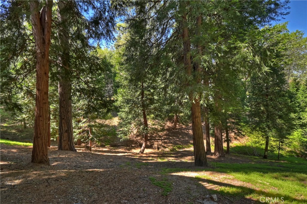355 Cedar Ridge Drive Property Photo 41