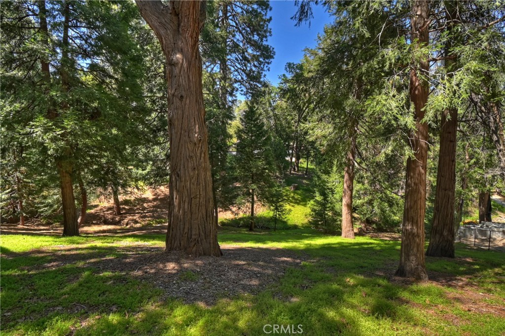 355 Cedar Ridge Drive Property Photo 42