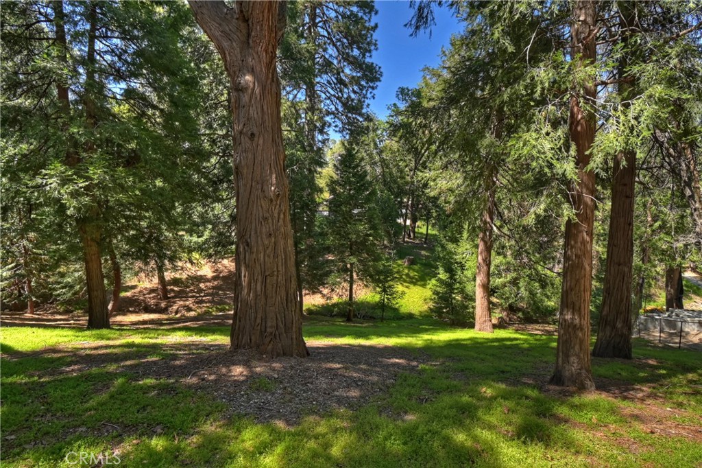 355 Cedar Ridge Drive Property Photo 42