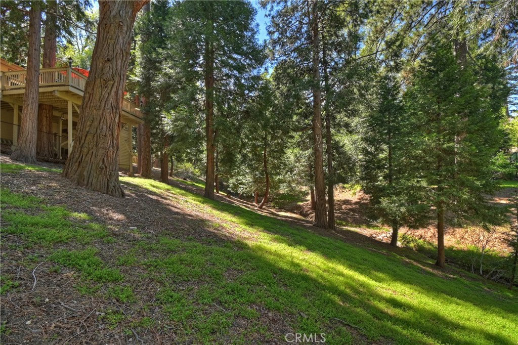 355 Cedar Ridge Drive Property Photo 43