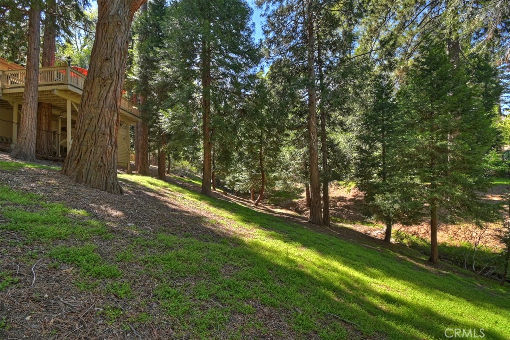 355 Cedar Ridge Drive Property Photo 43