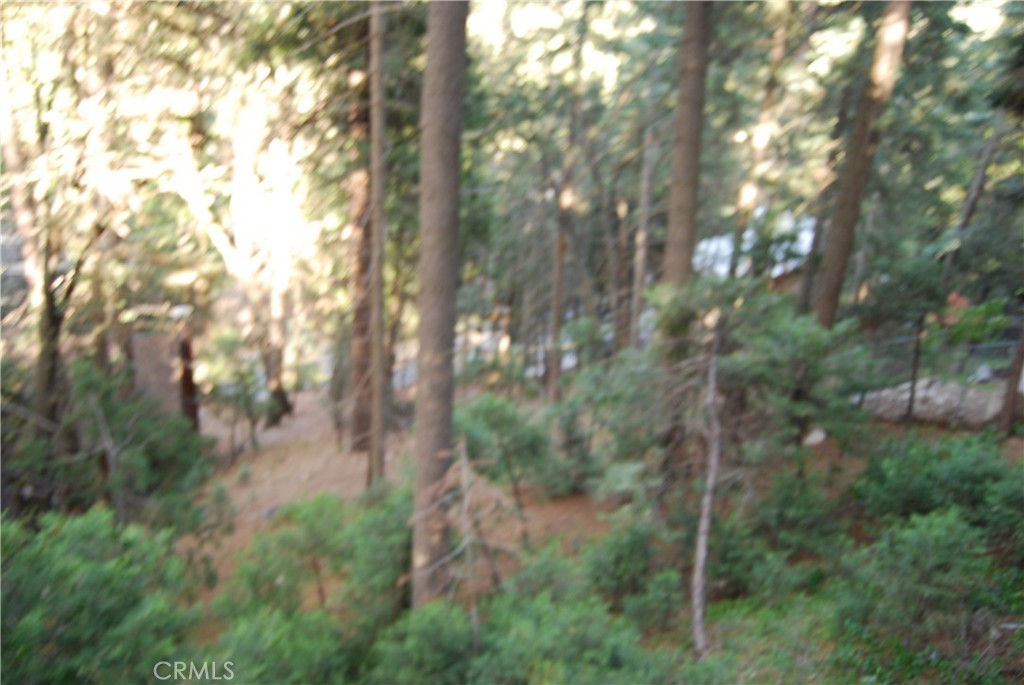 807 Sierra Vista Property Photo 29