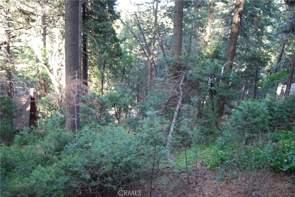 807 Sierra Vista Property Photo 30