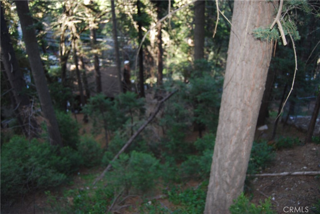 807 Sierra Vista Property Photo 31