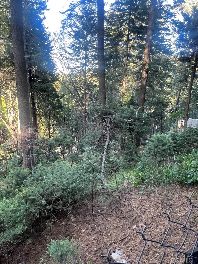 807 Sierra Vista Property Photo 37