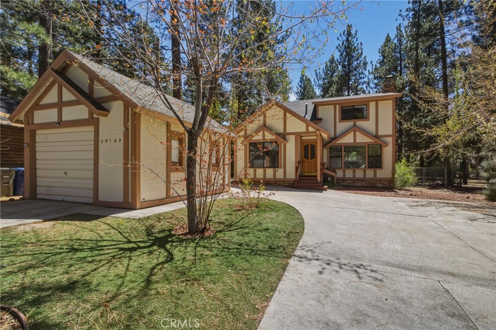39169 Robin Property Photo 4