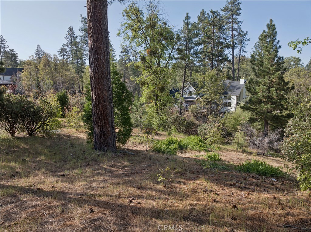 1180 Maverick Property Photo 3