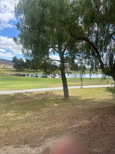 28124 Palm Villa Drive Property Photo 36