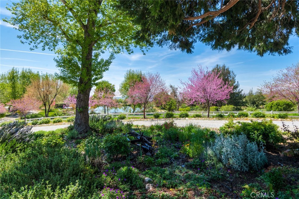 37547 Oak Glen Road Property Photo 6