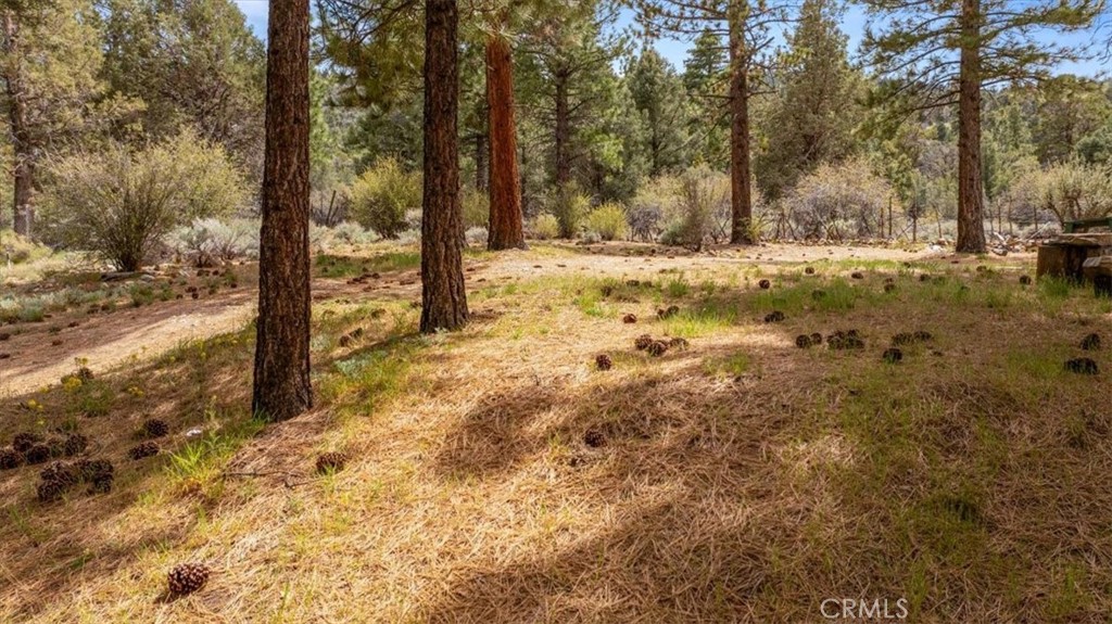 0 Skyview Property Photo 8