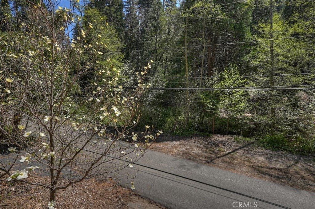 425 Blue Jay Canyon Property Photo 48