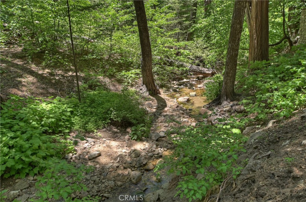 425 Blue Jay Canyon Property Photo 49