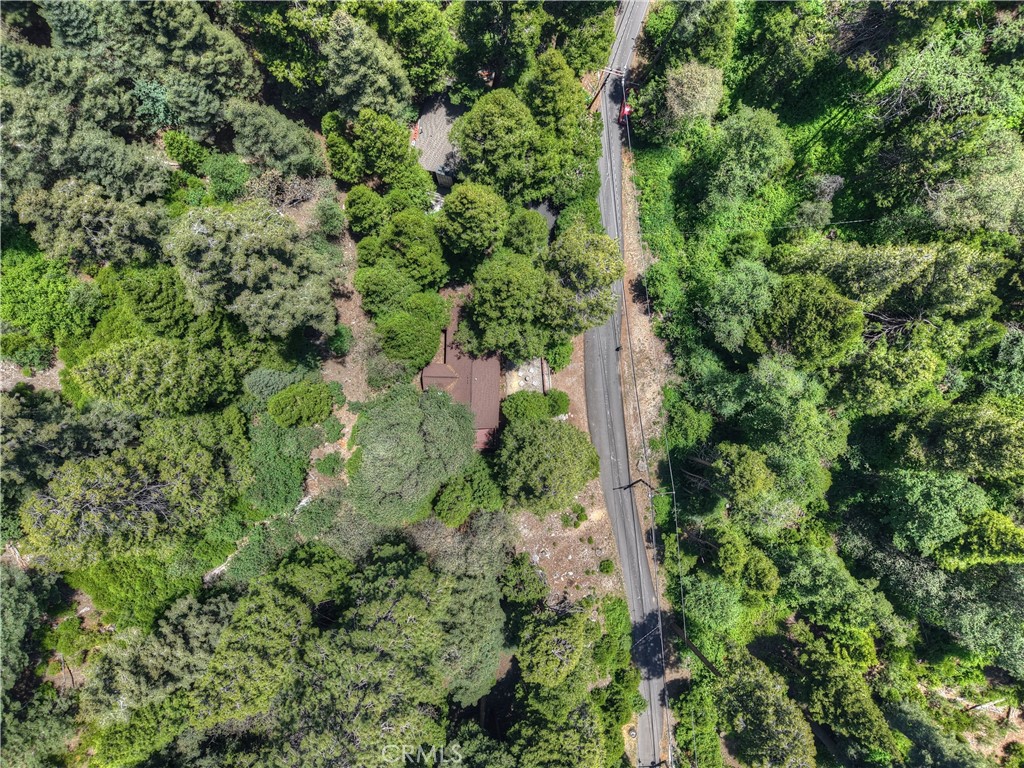 425 Blue Jay Canyon Property Photo 50