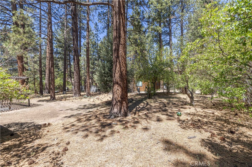 924 Michael Property Photo 22