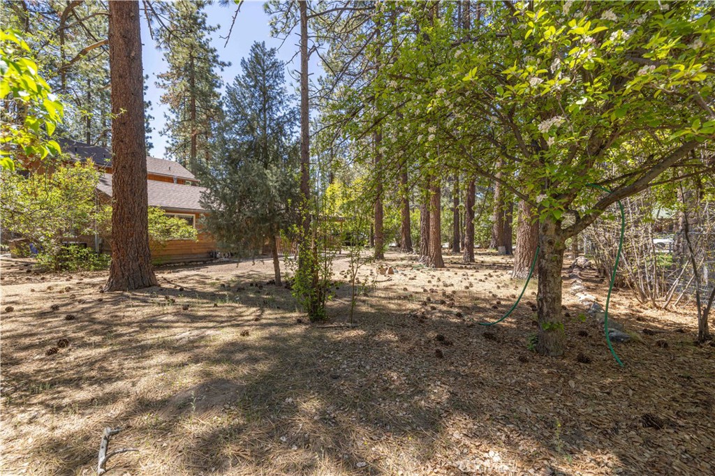 924 Michael Property Photo 23