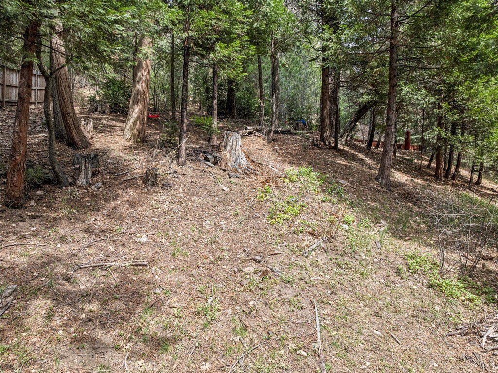 27048 State Highway 189 Property Photo 45