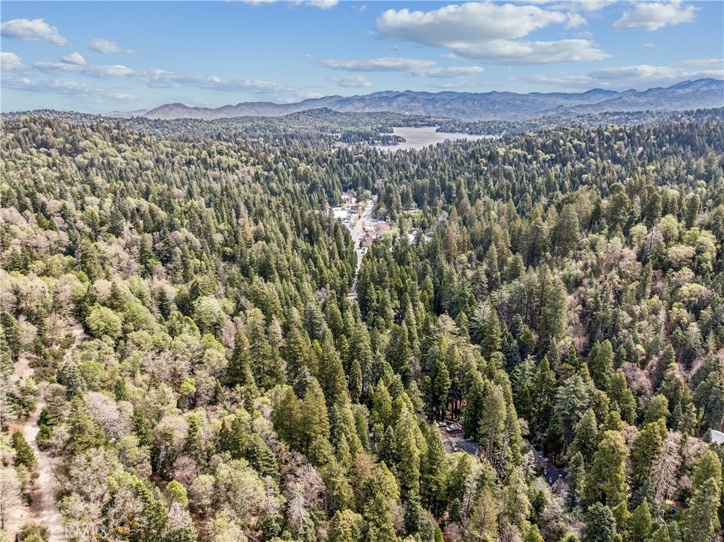 27048 State Highway 189 Property Photo 46