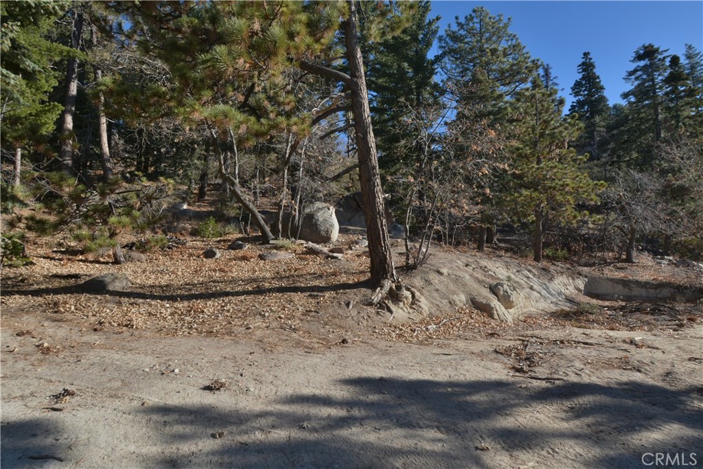 0 Cobblestone Property Photo 4