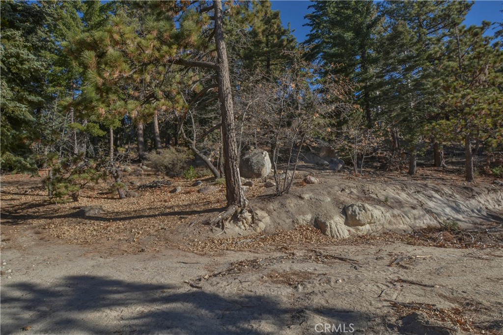 0 Cobblestone Property Photo 6