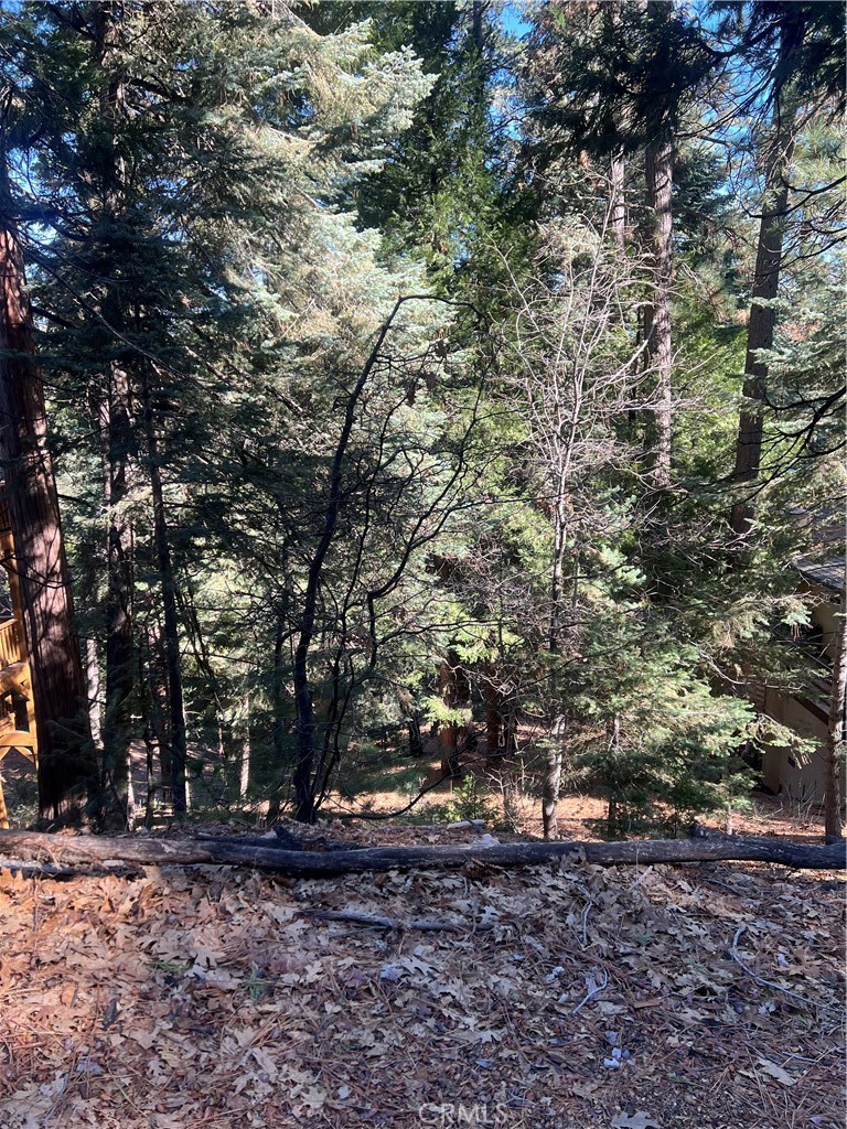 0 Forest Property Photo 1